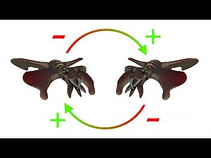 Alien Biospheres: Part 12 - Sociality and Cooperation