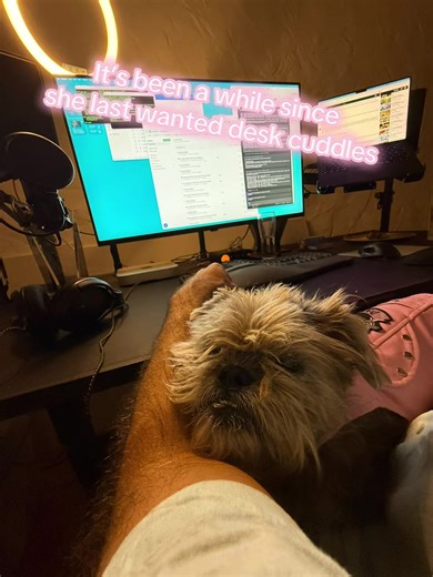 It’s been a few years since she last wanted cuddles whilst I’m working. #dogsoftiktok