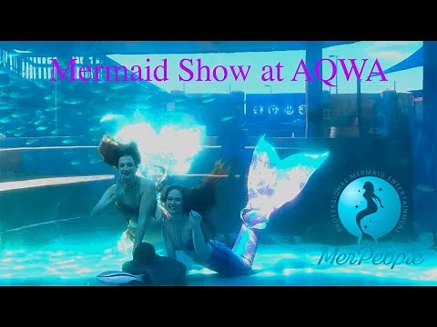 Underwater Mermaid Show at AQWA Perth - MerPeople Australia