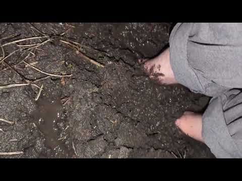 Bare Feet Trudging through Thick Mud #barefoot #mud #muddyfeet