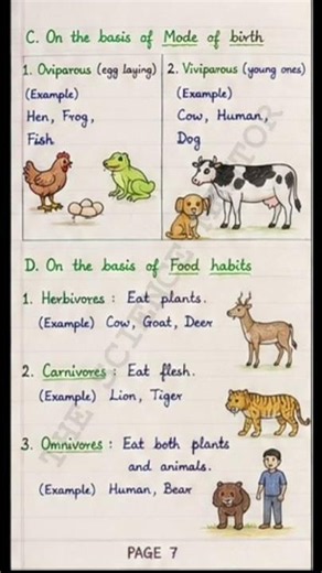Class 6 Science Chapter 2 | Diversity in the Living World| The Science Mentor#curiosity #ncert