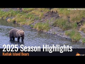 2025 - Brown Bears of Kodiak Island: Over an Hour of Stunning Alaskan Wildlife