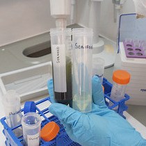 Video: Determination of Inorganic Arsenic in a Wide Range of Food Matrices using Hydride Generation - Atomic Absorption Spectrometry.