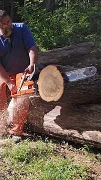 Holzfforma 395 xp clone saw. sofar I'm loving it. #chainsaw #Husqvarna