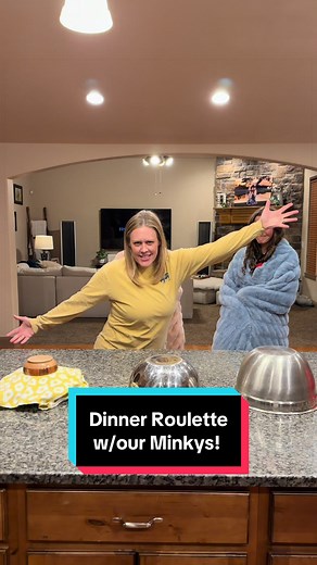 Dinner Roulette: Fun Family Meals with Minkys