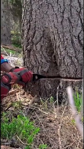 Cuñas mecánicas FK20 y FK30