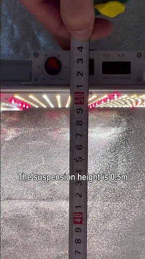 How to grow Brussels sprouts using Grow Lights / The story of the Brussels sprout