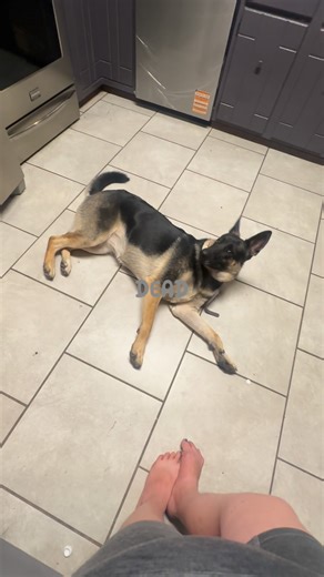 The Magic Paintbrush on Reels