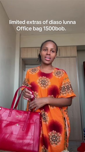 Limited Edition Diaso Lunna Office Bag Available Now