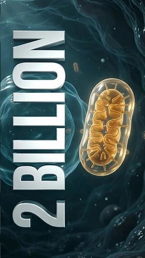 Your Mitochondria Were Once Bacteria! 🤯🧬 #science#biology