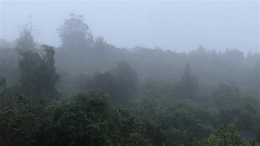 It is bucketing down with rain outside Wilderness on the Garden Route since the early hours of this morning (15 January 2026). We've measured 130mm since around 4am (updated in the evening) and we also received a few reports of around 90mm in Wilderness Heights on the same day. Hopefully this is across the rest of the Garden Route because it will certainly put out the fires. Whatsapp photos/videos/rainfall to 081 251 8029 See https://snowreport.co.za for weather forecasts. | Snow Report SA