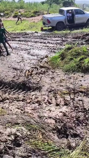 Limpeza de Açude: Encontro com Jacarés
