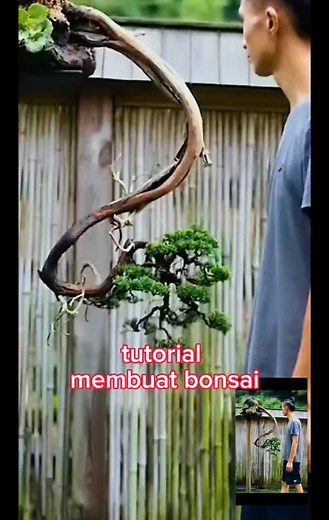 26K views · 212 reactions | Tutorial membuat bonsai | Seni Bonsai Indonesia | Facebook