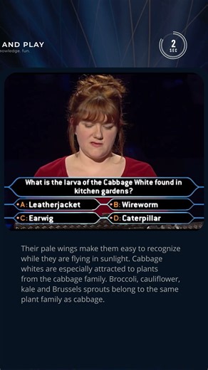 How Well Do You Know Garden Wildlife?🦋🌿 #quiz #millionaire #trivia #nature #butterfly #garden #tv