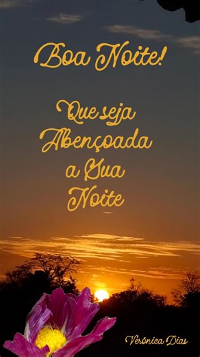 veronica dias on Instagram