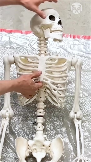 1.6K views | Making a huge skeleton statue for Halloween | Bored Panda Photography | Facebook