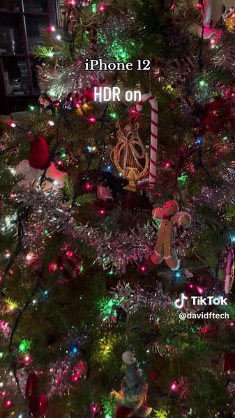 Cinematic vs HDR iPhone Video Comparison