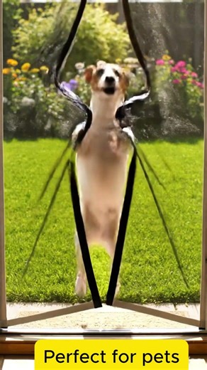 The Smart Door Everyone Needs