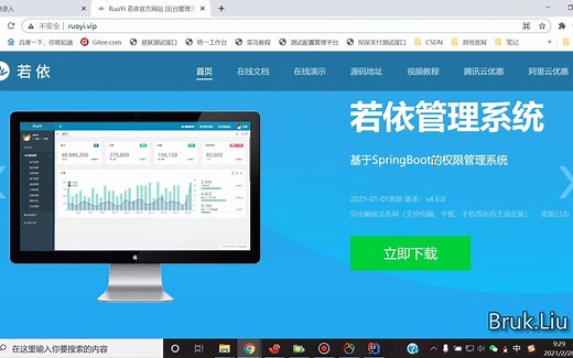 若依(单体版)从部署到实现自己的功能