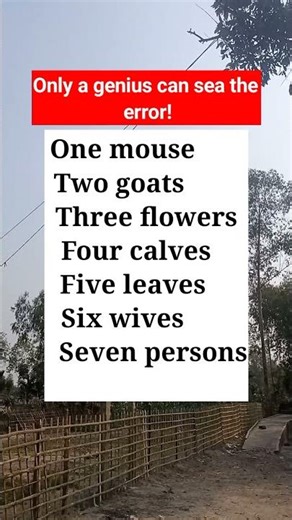 Only a genius can spot the error!33#identifyingerror #grammar #activity