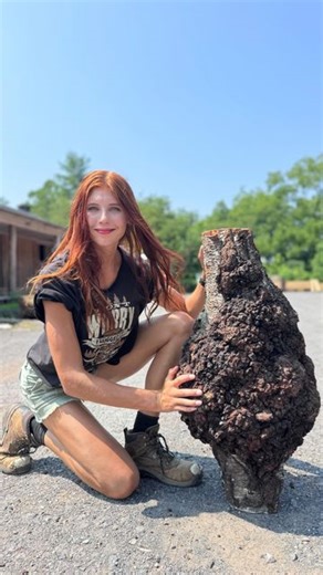 Lumber Capital Log Yard | Wow look at this burl! 👀 | Instagram
