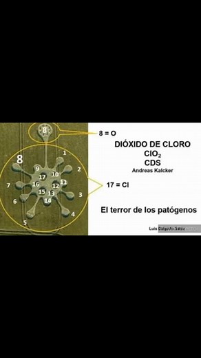 Dioxito de cloro on TikTok