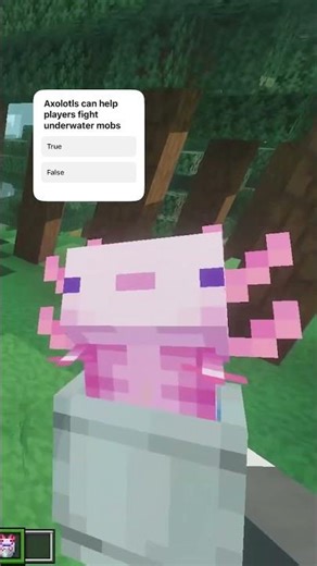 Axolotls #minecraft