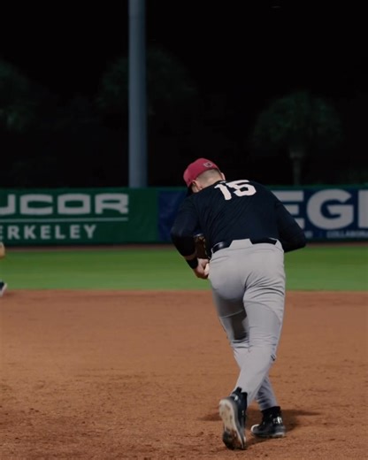 Strikeouts and web gems | South Carolina Baseball