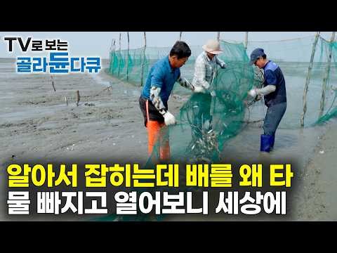 돈 주고 배를 살 필요가 없다｜물 빠졌을 때 길게 쳐둔 그물, 다음 날 열어봤더니｜이렇게나 잡힐 줄 몰랐다｜한국기행｜#골라듄다큐