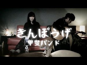 女性が歌う「きんぽうげ」甲斐バンド cover by ru:ju