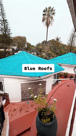 Exploring Diverse Planning Approaches in Urban Design