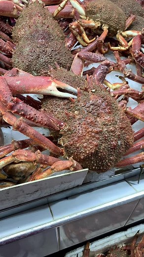 Marhba bikoum ❤️❤️ 50 dh le kg livraison casa 20 dh