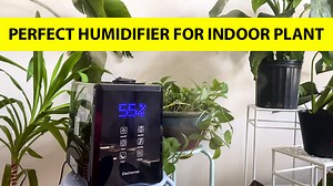 Watch Enjoy the moist mist to plants by Elechomes humidifier. on Amazon Live
