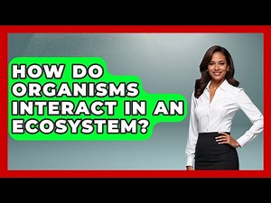 How Do Organisms Interact in an Ecosystem? - Ecosystem Essentials