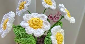 31K views · 1.5K reactions | Tutorial completo: Florecitas Crochet | Shelen Crochet | Facebook