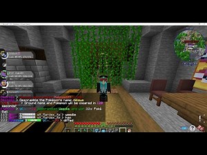 playing the pixelmon modpack on Eternia mc