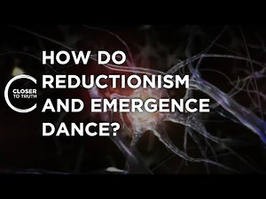 How do Reductionism and Emergence Dance? | Closer To Truth