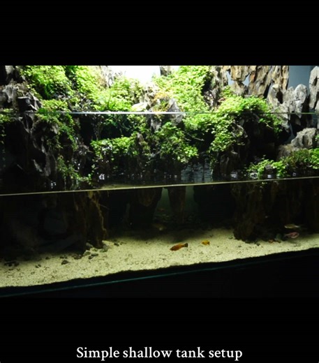Green House Aquatics on TikTok