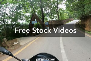Two+Elfs+Ass Videos, Download The BEST Free 4k Stock Video Footage & Two+Elfs+Ass HD Video Clips
