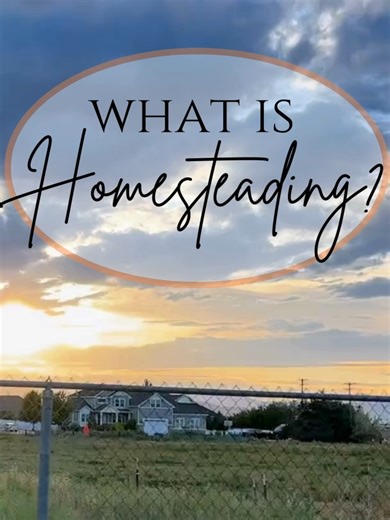 Exploring Homesteading: Simplicity and Self-Sufficiency