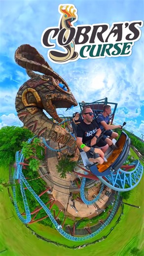 POV: riding Cobra’s Curse through it's 3 different sections at Busch Gardens Tampa 🐍🎢 Would you ride? #CobrasCurse #BuschGardensTampa #POVThemePark #CoasterLife #florida #ThemeParkFans #rollercoaster #themepark | Themepark_madness