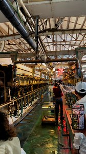 milking unit | All Machine Technologies