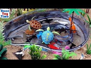 Let's Learn Sea Animal Names! - Fun Sea Animals Toys Video