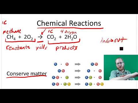 Biochemical Reactions