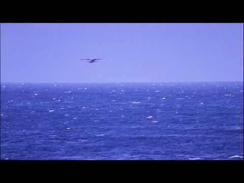 島唄／川島一成 松大地【高音質録音】