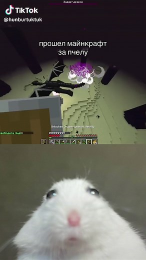 Minecraft Bees: Surviving Hardcore Mode