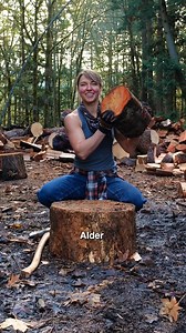 825K views · 20K reactions | Alder: Hard Wood… Easy Split | Nicole Coenen | Facebook