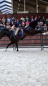 579K views · 16K reactions | The after movie of the latest Open...