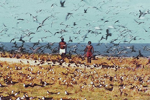 世界残酷物語の予告編・動画「予告編」 - 映画.com