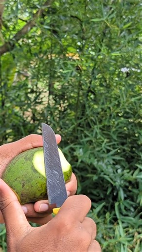 The Juiciest Raw Mango🥝 #mango #asmr #satisfying
